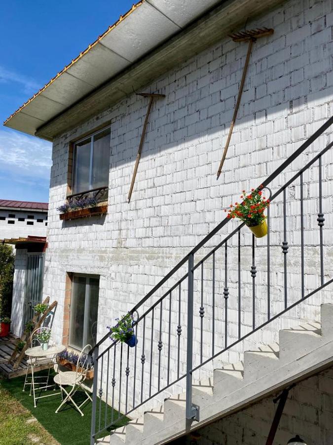 L'Olivo - 1932 Apartment Controguerra Exterior photo